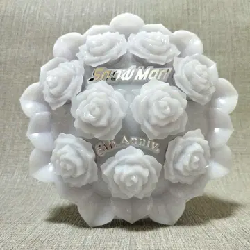 Snow Man Snow World 스타디움 응원봉 꽃다발