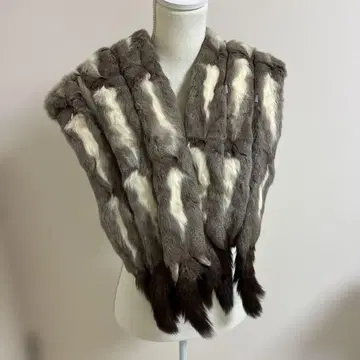 두툼한 로리스의 퍼스트올