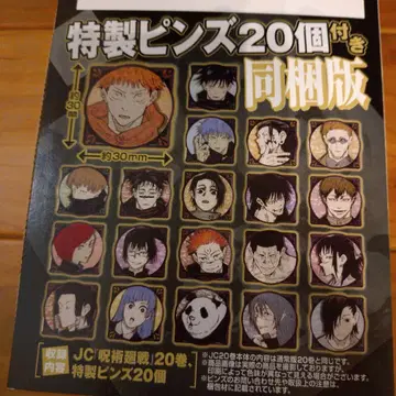 주술회전 특제 핀즈 20개