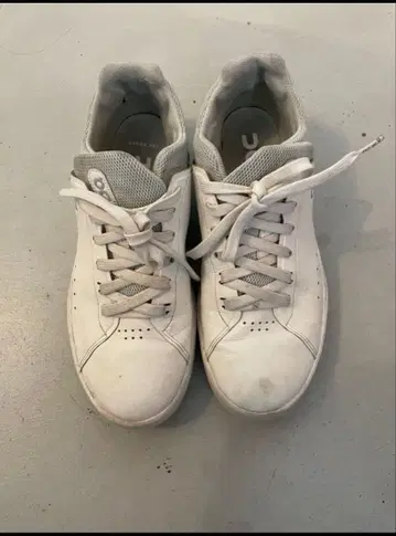 on the 로저 온 더 로저 25cm