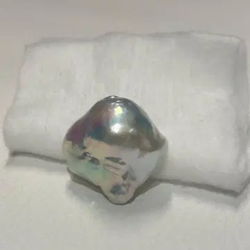 652 연못 나비 진주 담수 진주 22 x 14 펄 브로치 꽃진주 비교