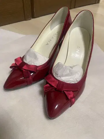 DIANA 보르도 펌프스