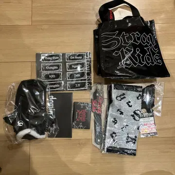 Stray Kids DOMINATE TOUR 업그레이드 시트 특전