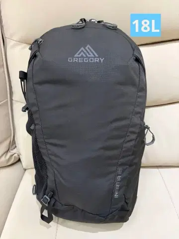 GREGORY 이너시아 18