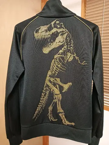 DRESSCAMP 챔피온 저지 S t-rex 공룡