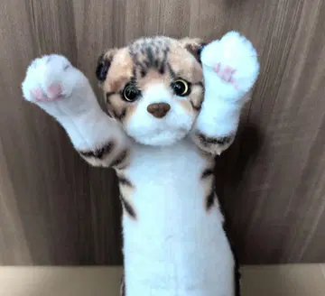 타치이zoo 냥코 타치이zoo 스코티시 폴드 리얼 고양이 자립