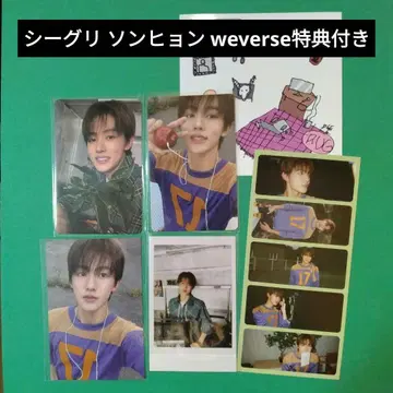 CORTIS 코르티스 2026 시그리 송현 2