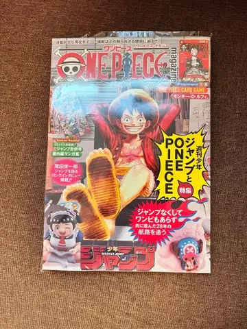 ONE PIECE magazine 원피스 매거진 20호