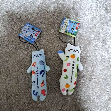 노비네코 시즈오카 바다 서치 산 서치 2세트