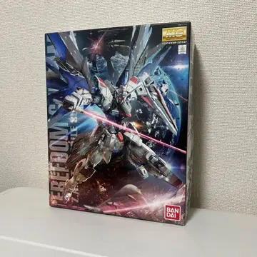 건담 프라모델 MG 1/100 프리덤 건담 Ver.2.0