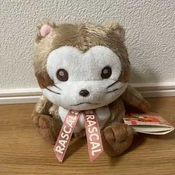 너구리 라스칼 봉제 인형
