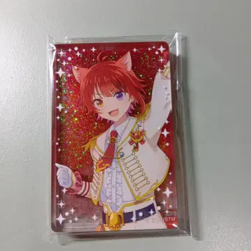 스토푸리 리이누 아크릴 블록 영화