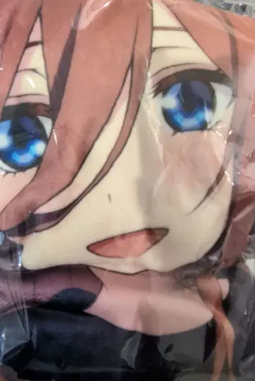 5등분의 신부 착용 담요