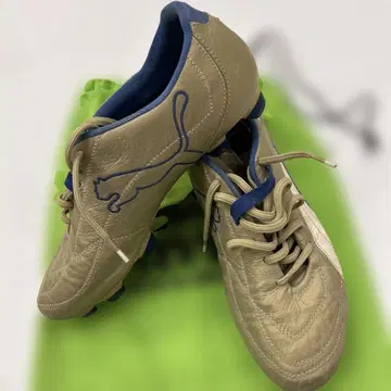 PUMA 축구화
