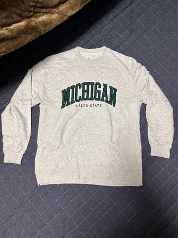 MICHIGAN LAKES STATE 스웨트 셔츠