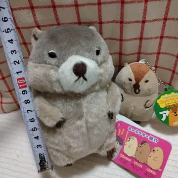 마모트 봉제 인형 쁘띠 마스코트 키링 2개 세트