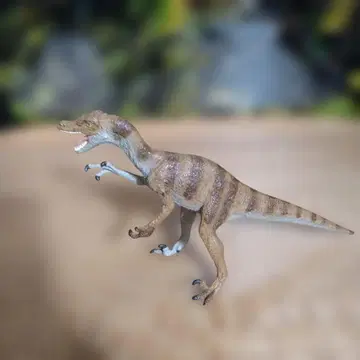 Safari Ltd.의 카니지 컬렉션의 벨로키랍토르 피규어