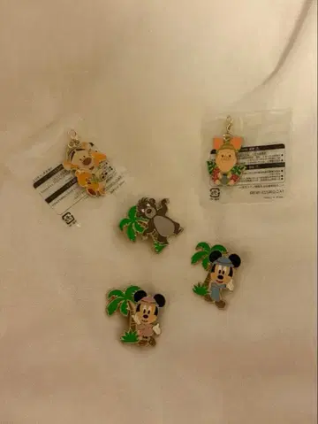 디즈니 핀 배지 아부즈 바자르 정글 카니발 경품