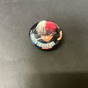 히로아카 유리 마그넷 컬렉션 토도로키 쇼토 점페스