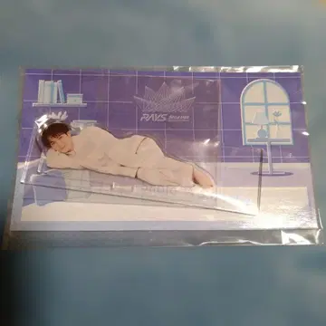 RAYS 아크릴 스탠드 와타나베 쇼타 숏삐