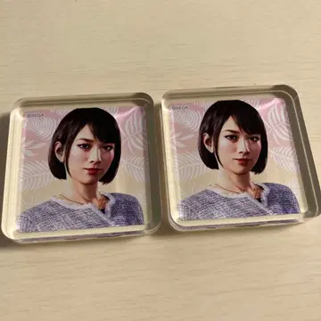 용과 같이 사에코 아크릴 블록