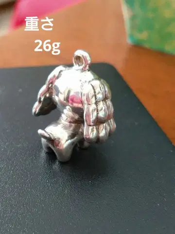 순은 실버 오차이누