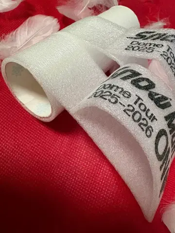 Snow Man Dome Tour 2025-2026