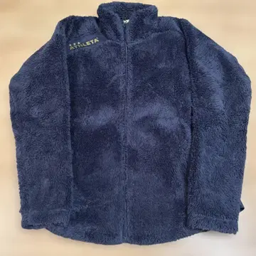 아스레타 플리스