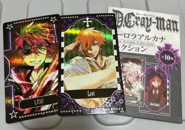 점프 페스타 D.Gray-man 오로라 아르카나 컬렉션 라비