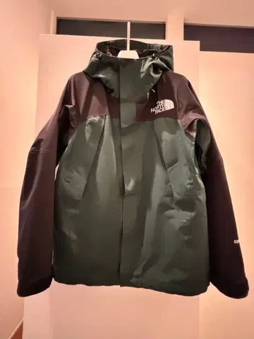 THE NORTH FACE 마운틴 후드티 그린/블랙