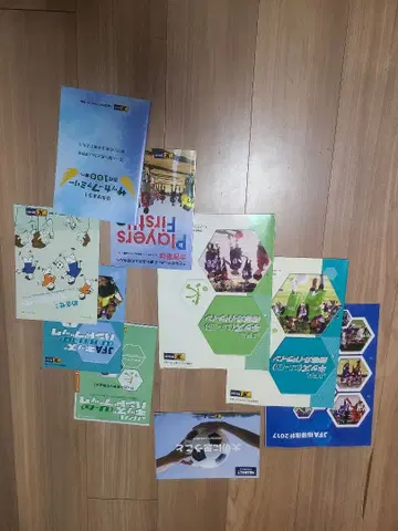 축구 C 라이선스 텍스트 JFA 지도 지침, JFA 키즈 지도 가이드라인