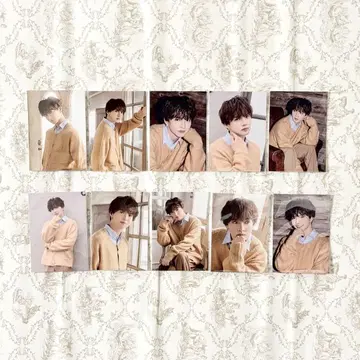 판타지 사토 타이키 트레이딩 카드 컴플리트 세트