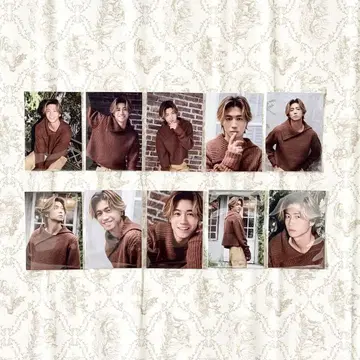 판타 세구치 레야 트레이딩 카드 컴프 세트