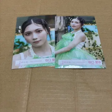 사쿠라자카46 타니구치 아이리 코가라시는 울지 않아 MV 의상 요리 츄2