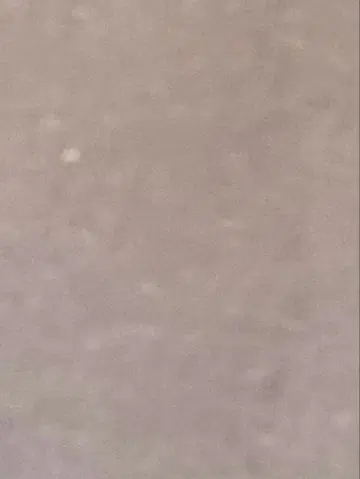 로스앤젤레스 어패럴 지퍼 후드티