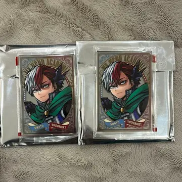 히로아카 파브 거울 토도로키 쇼토 2장 세트