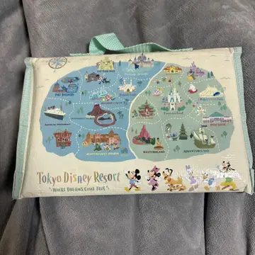 디즈니 리조트 한정판 돗자리 맵 패턴 지도 파크맵