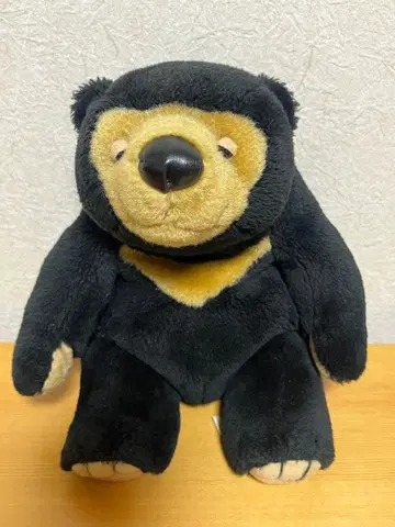 새상품급 몽 스이유 곰 봉제 인형 마레짱