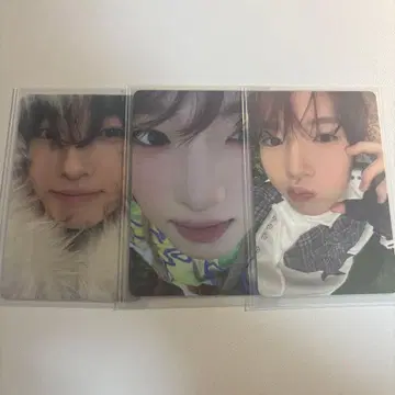 사쿠야 트레이딩 카드