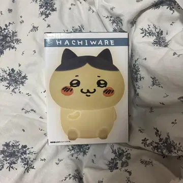 치이카와 룸 라이트 하치와레