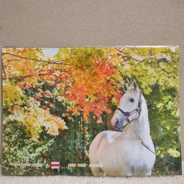 골드십 클리어 파일과 핸드폰 스트랩