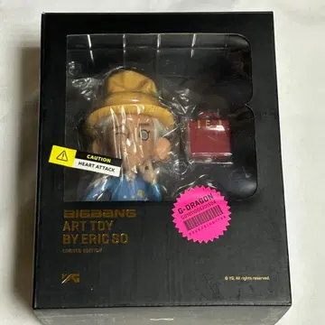 BIGBANG art toy by eric so 피규어 GD