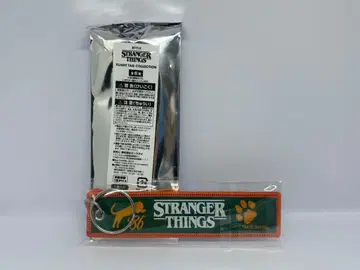 STRANGER THINGS 키링