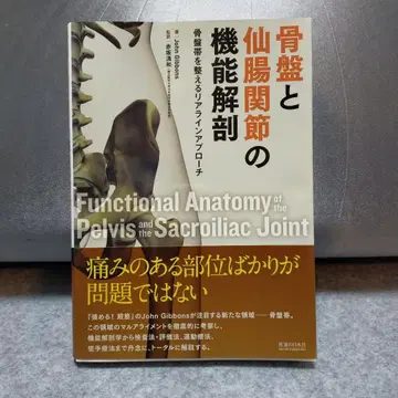 골반과 천장 관절의 기능 해부학 골반대를 정돈하는 리얼라인 접근법