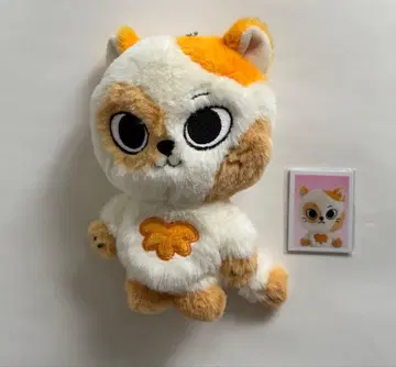 BOYNEXTDOOR 푸넥도 팝업 캣비 CATBBI