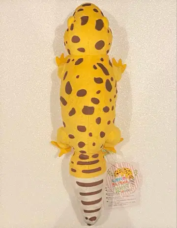 레오파의 키이짱 약 33cm 나카요시 봉제 인형 키이짱