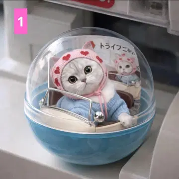 플랫 파우치 페탄코 토트백 오더 접수 페이지