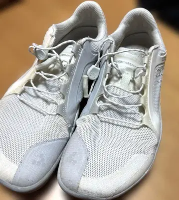 프라이머리 레일 비보 베어풋 38