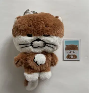 BOYNEXTDOOR 쁘네크도 팝업 DALRING 달링