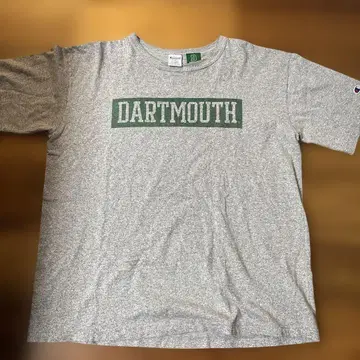 Champion t1011 그레이 염색